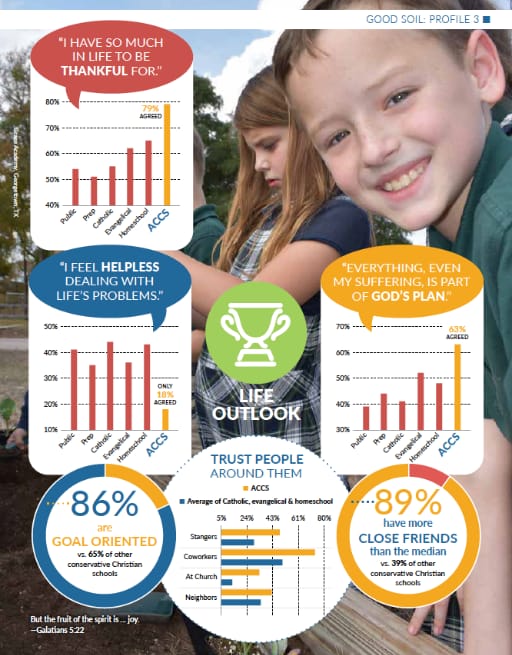 100 Bulk Pack – Good Soil Special Issue