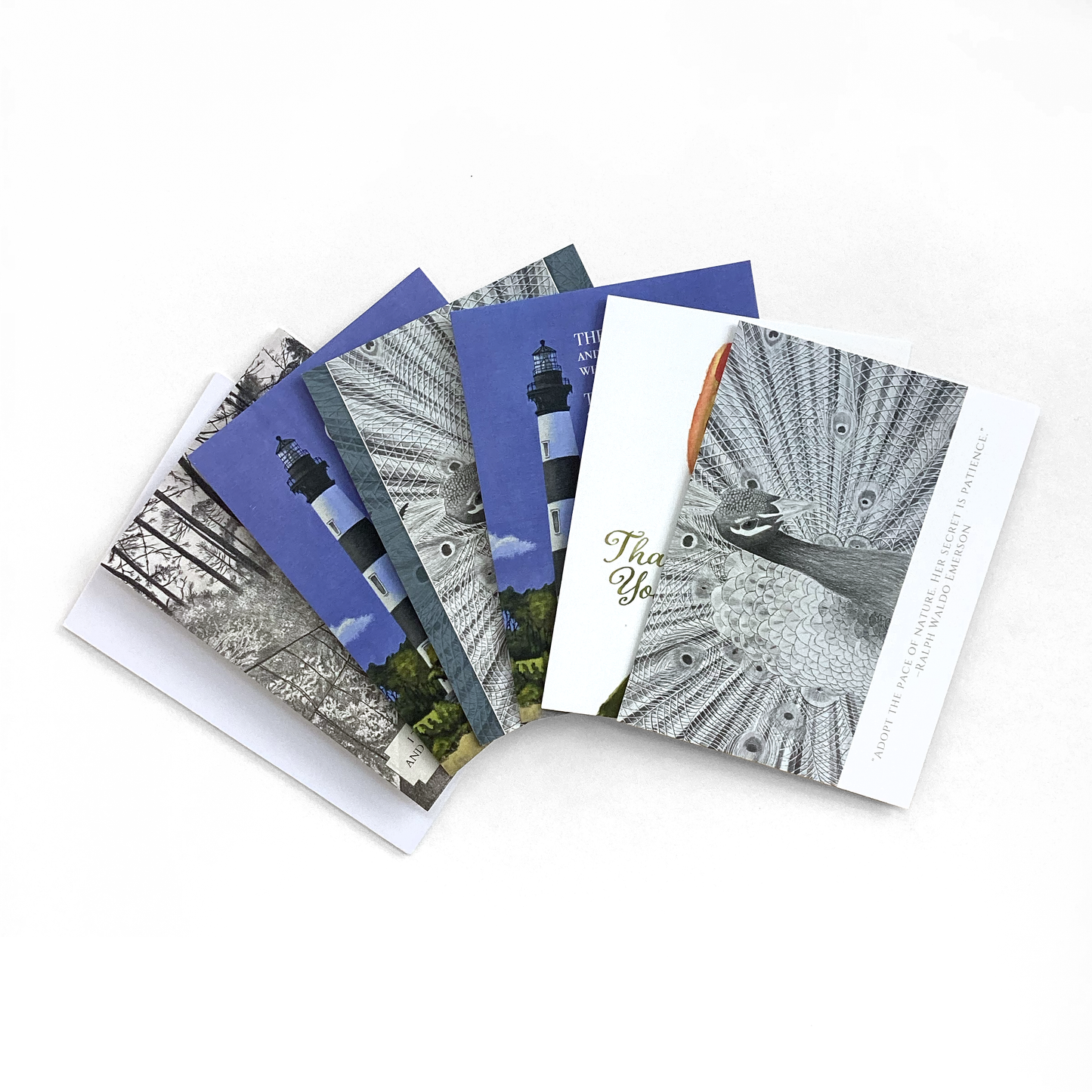 Note Cards 6 Pack: Variety Pack